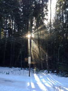 Nationalpark Bayerischer Wald