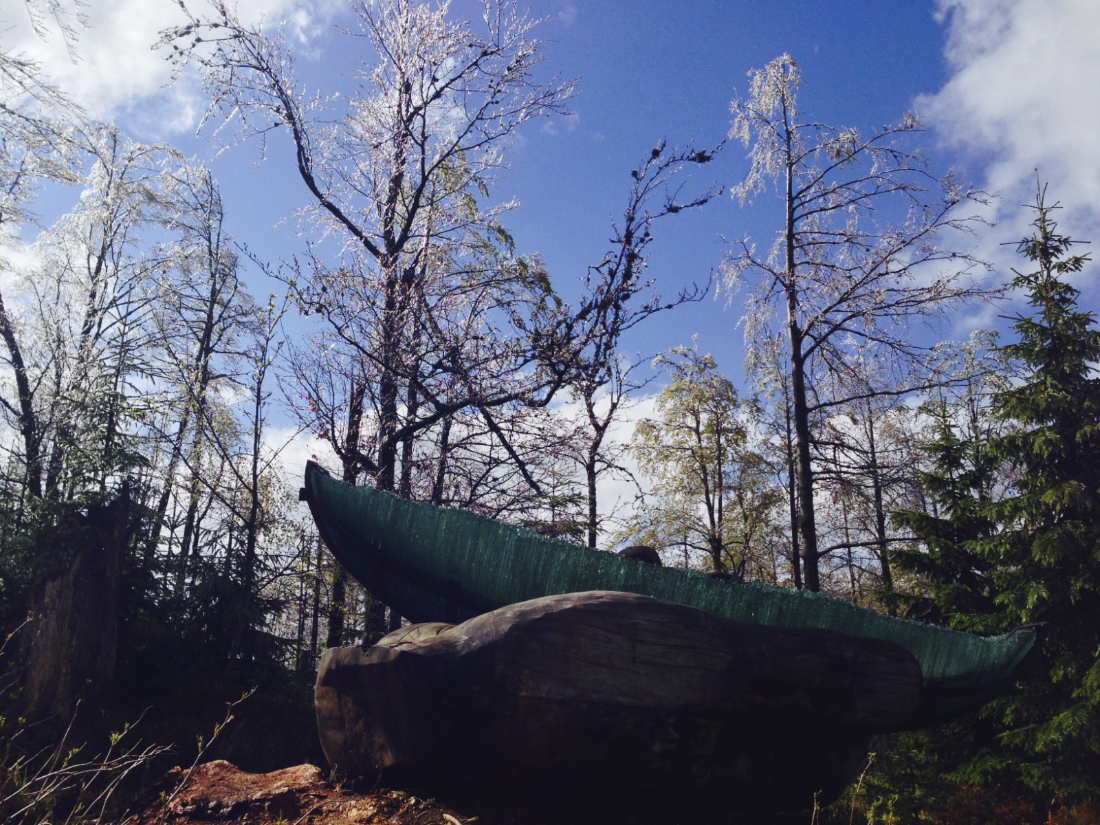 Glasarche im Nationalpark Bayerischer Wald