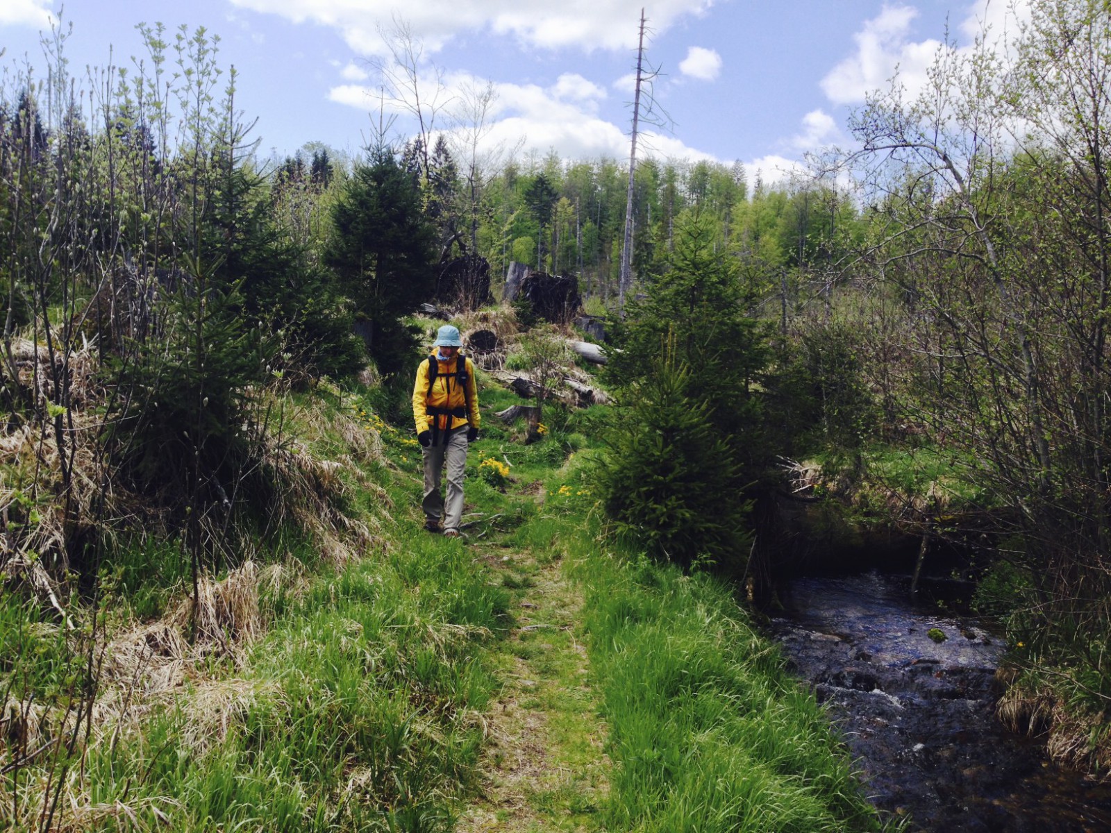 Nationalpark Bayerischer Wald - Steinbach