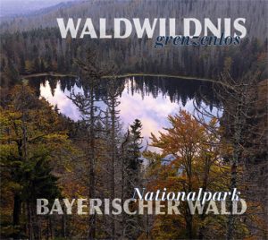 Waldwildnis grenzenlos Nationalpark Bayerischer Wald