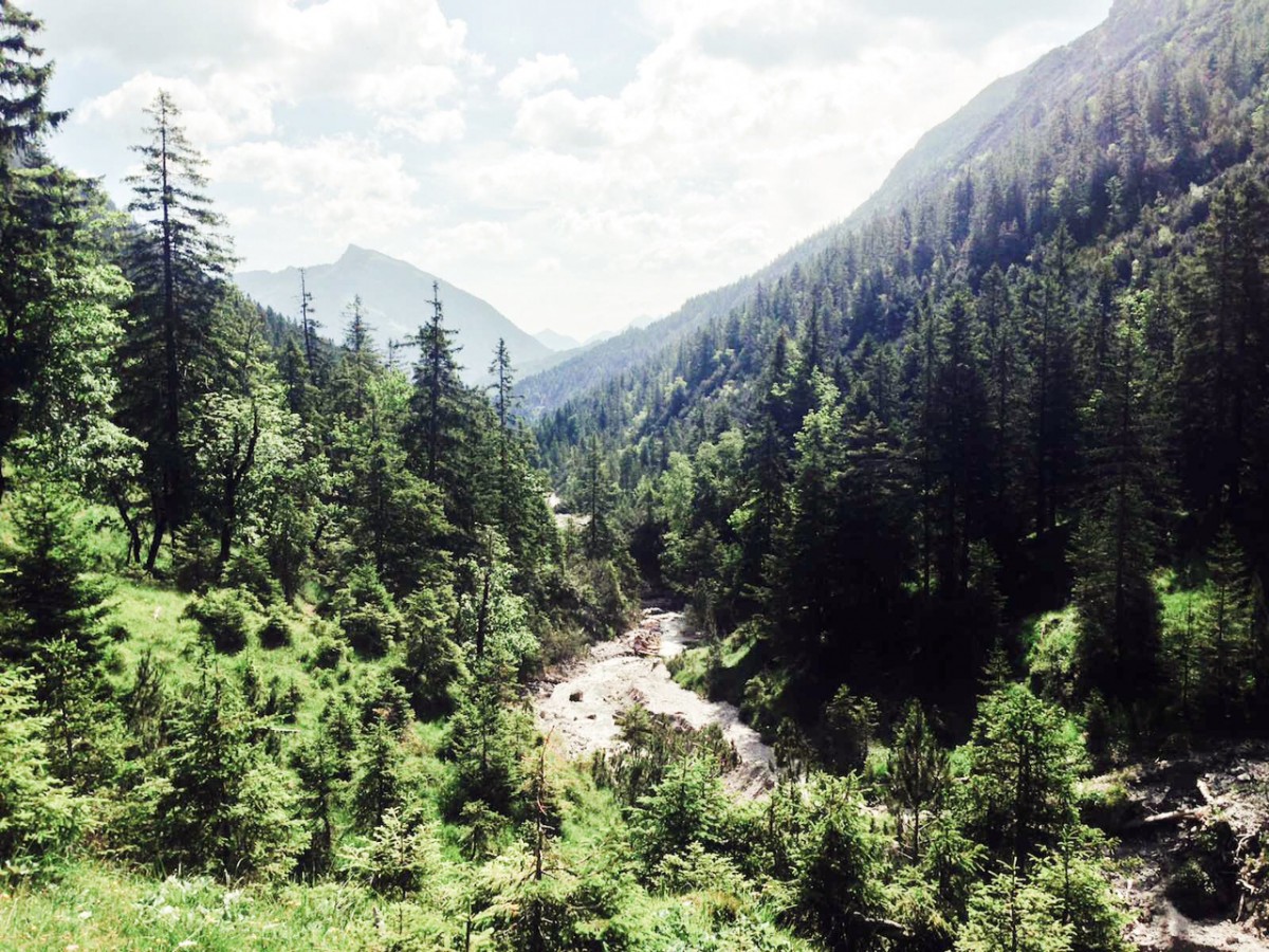 Birkental Tannheimer Berge