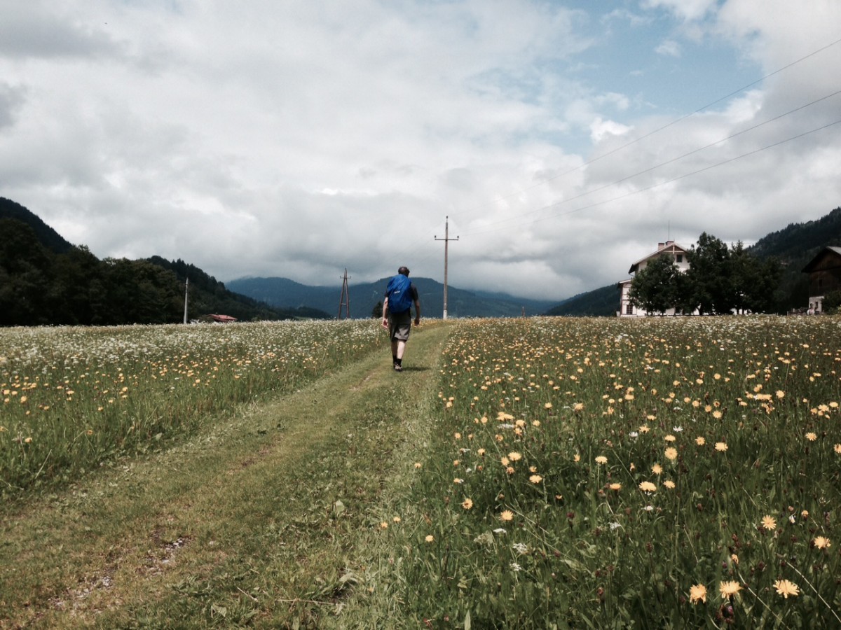 Sommerwiese in Achenkirch