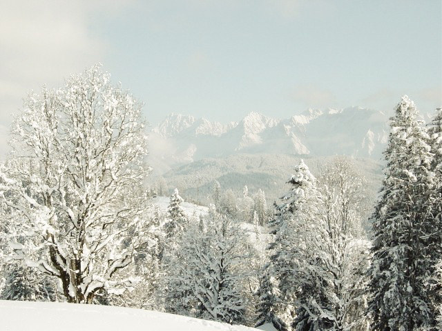 Schneeschuhwanderung Garmisch-Partenkirchen Eckbauer