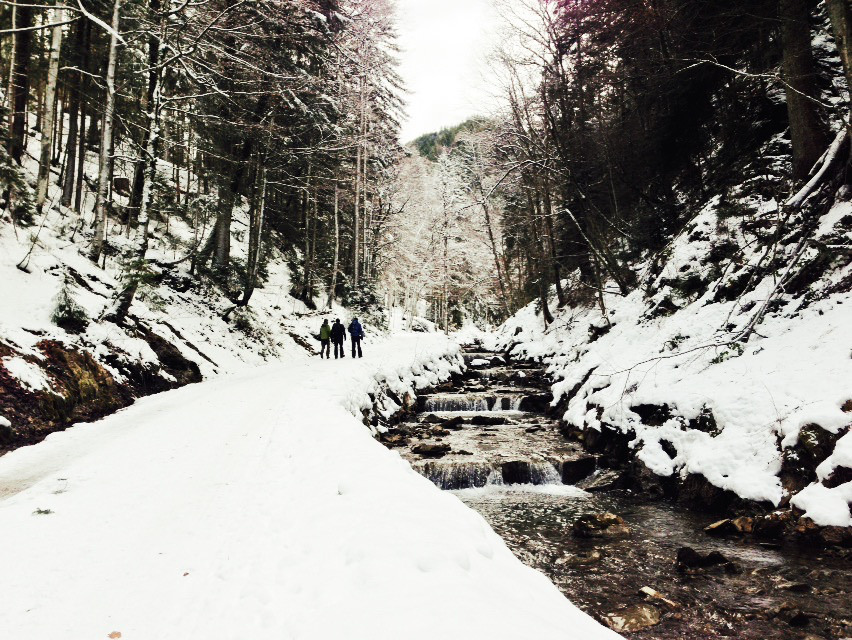 Winterwanderung zum Riederstein: Im Alpbachtal