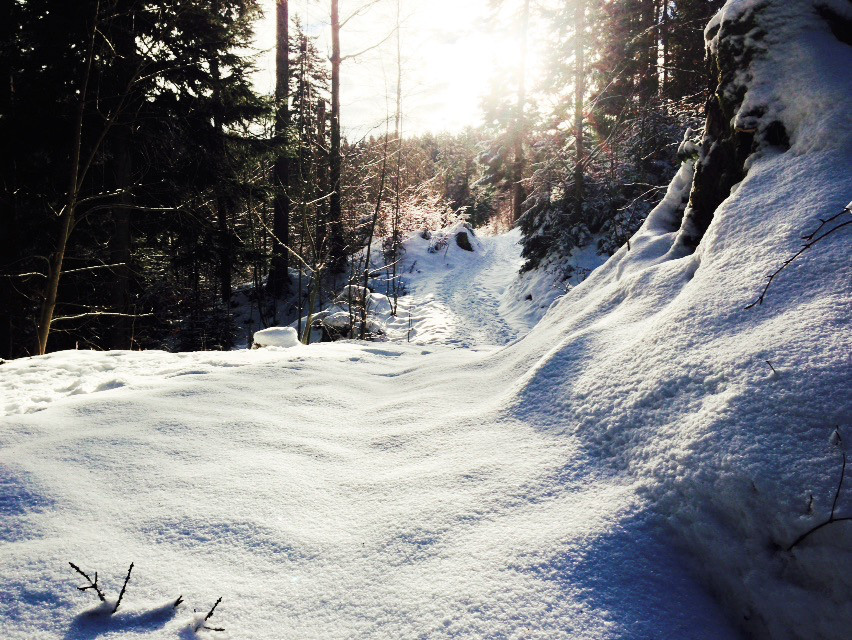 Winterwanderung zum Riederstein