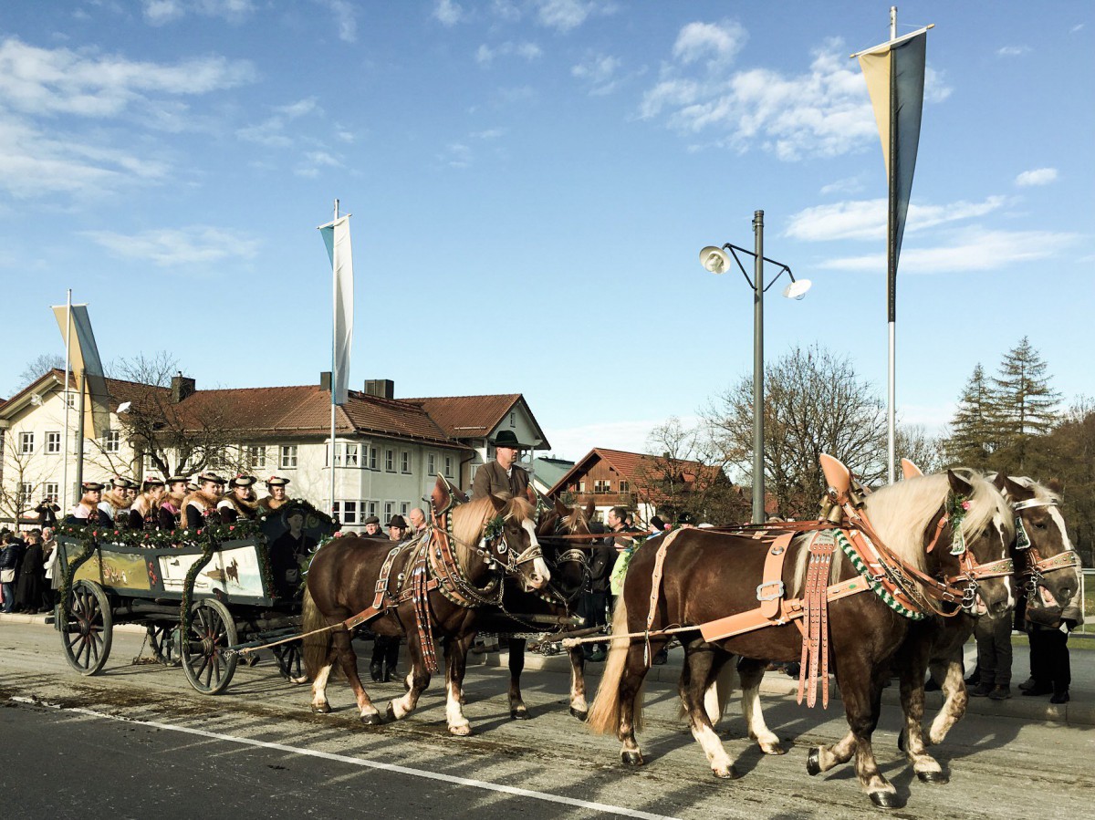 Leonhardi in Bad Tölz (1)