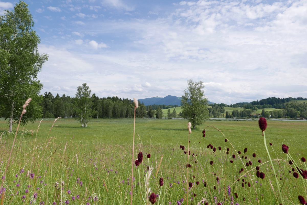 Soiersee 