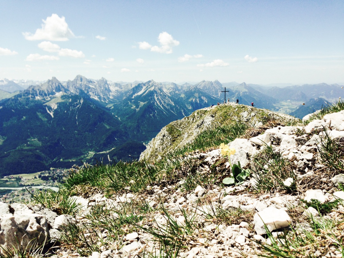 Blick vom Hauptgipfel auf den Kreuzgipfel und in die Tannheimer 