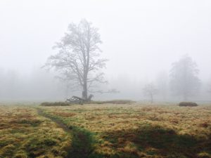 Nationalpark Bayerischer Wald: Schachten