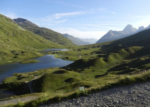 Grün, komfortabel, gutmütig
