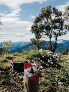 Zugna Torta: Schöne Ausblicke auf dem Sentiero della Pace
