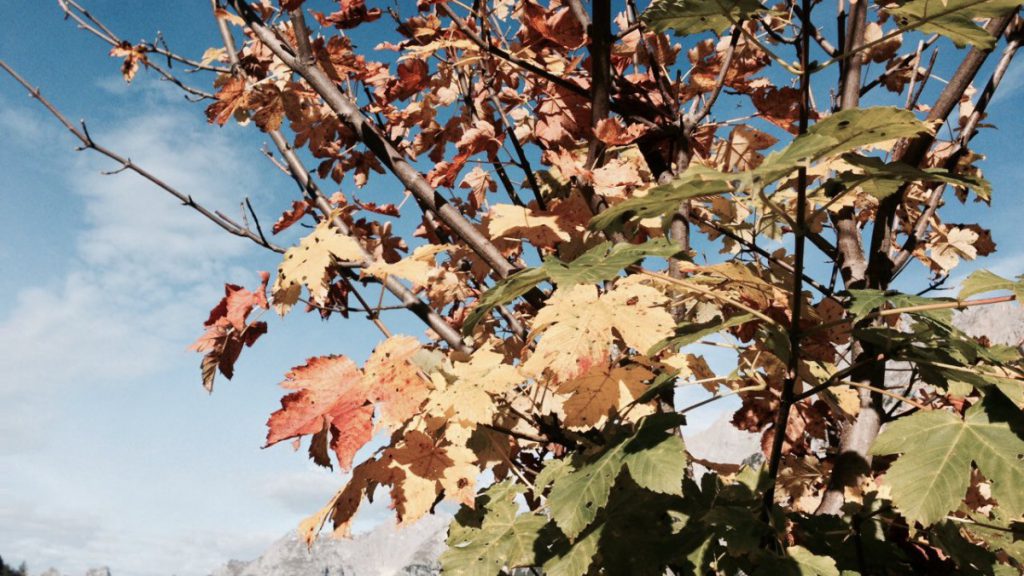 Herbst im Karwendel