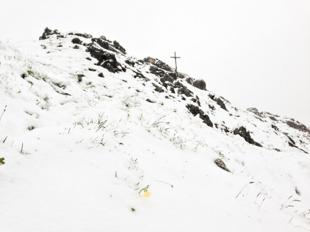 Mittsommer am Bernadeienkopf.