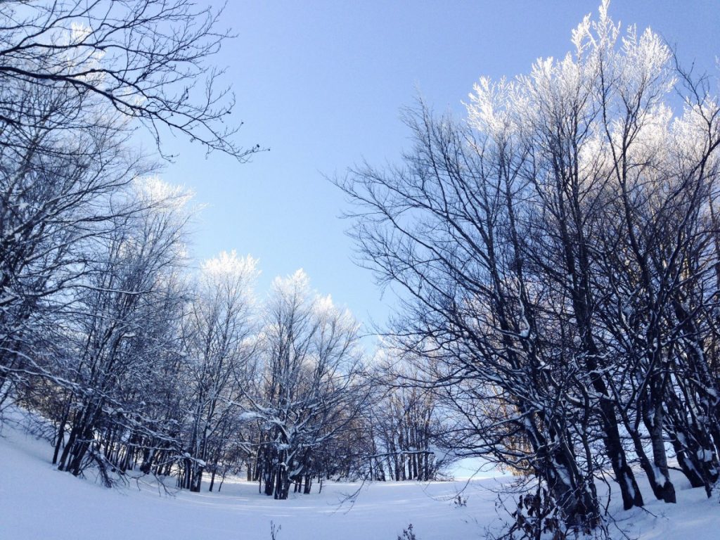An der Chata pod Borišovom in der Velka Fatra