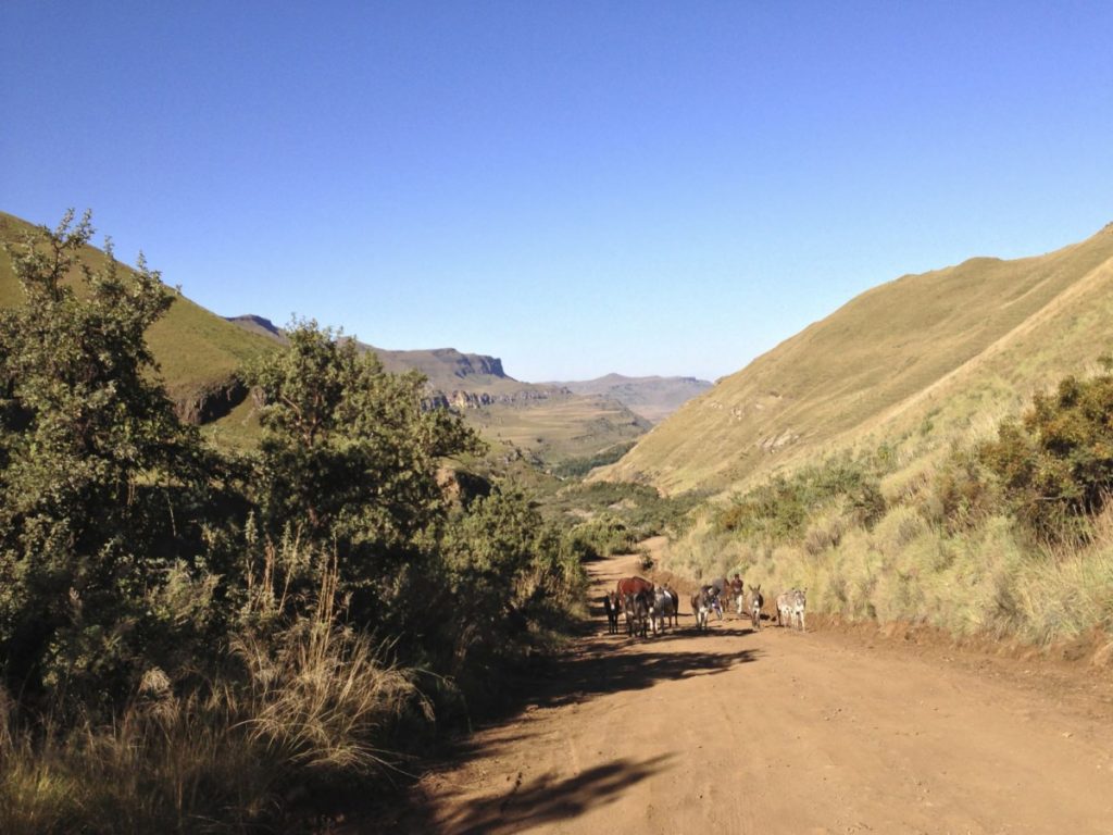 Sani Pass Road. Gegenverkehr. 