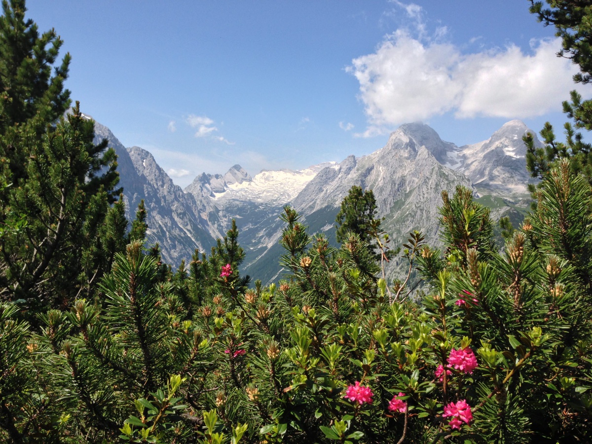 Alpengarten