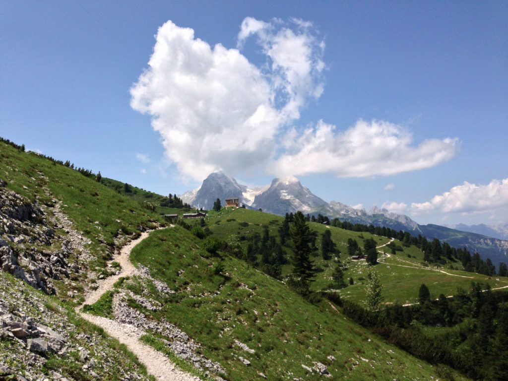 Königsschloss & Alpengarten