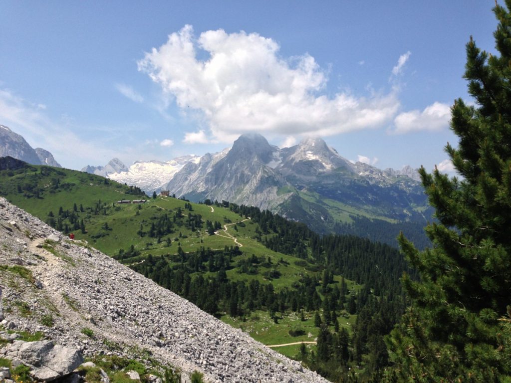 Königsschloss & Alpengarten