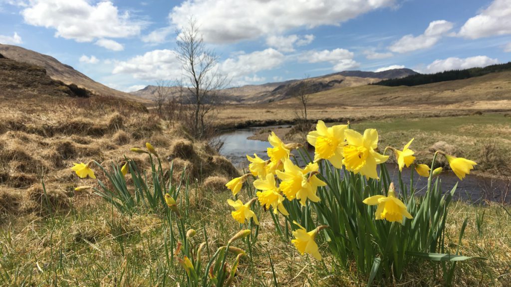 Schottland West Highland Way