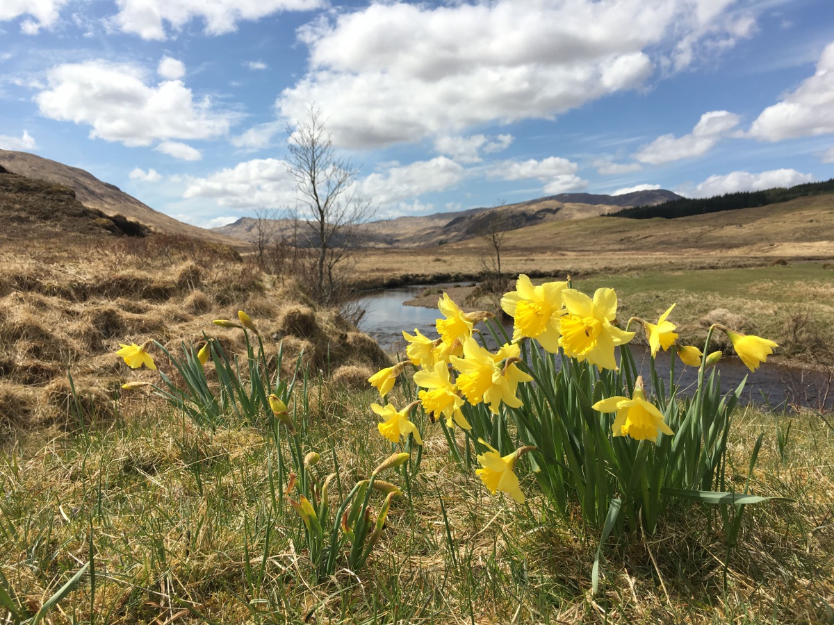 Schottland West Highland Way