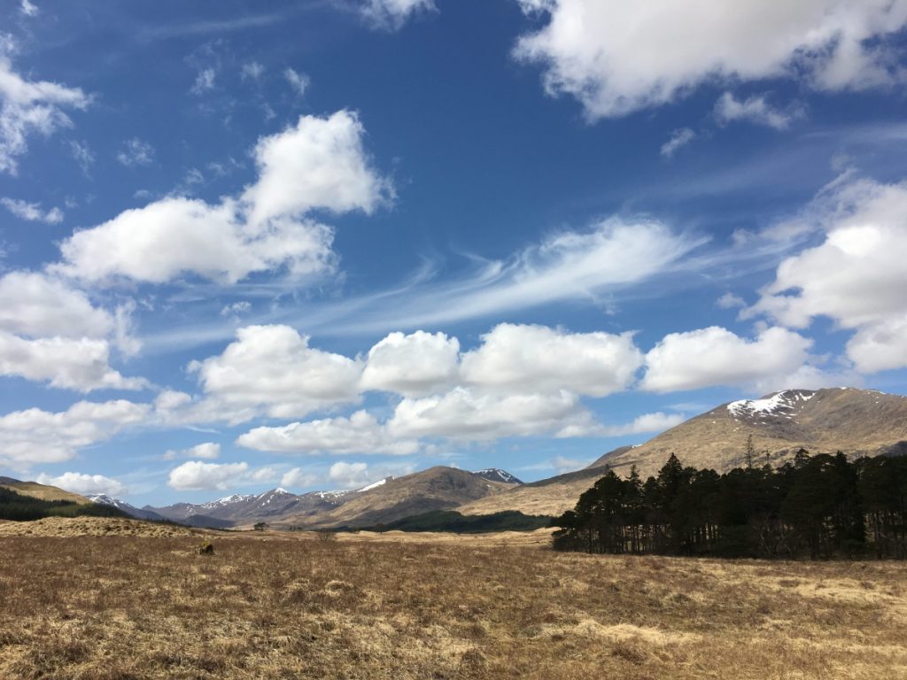 Im Rannoch Moor (1)