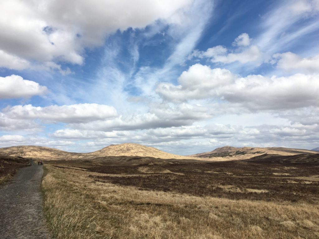 Im Rannoch Moor (2)