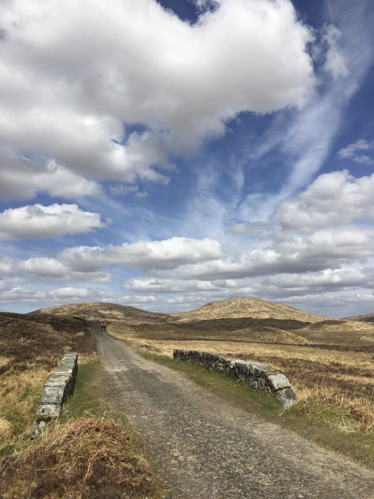 Im Rannoch Moor (3)