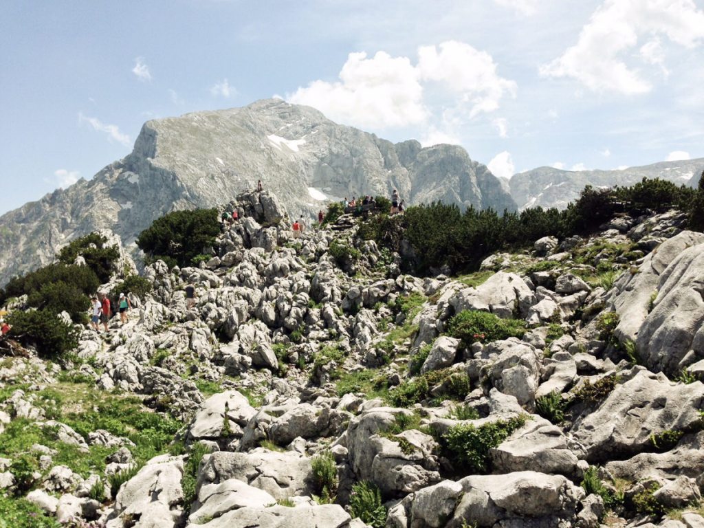 Blick auf den Hohen Göll