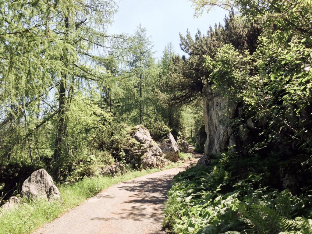 Aufstieg zum Kehlsteinhaus , Obersalzberg (2)