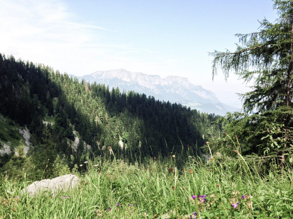 Aufstieg zum Kehlsteinhaus (1) 