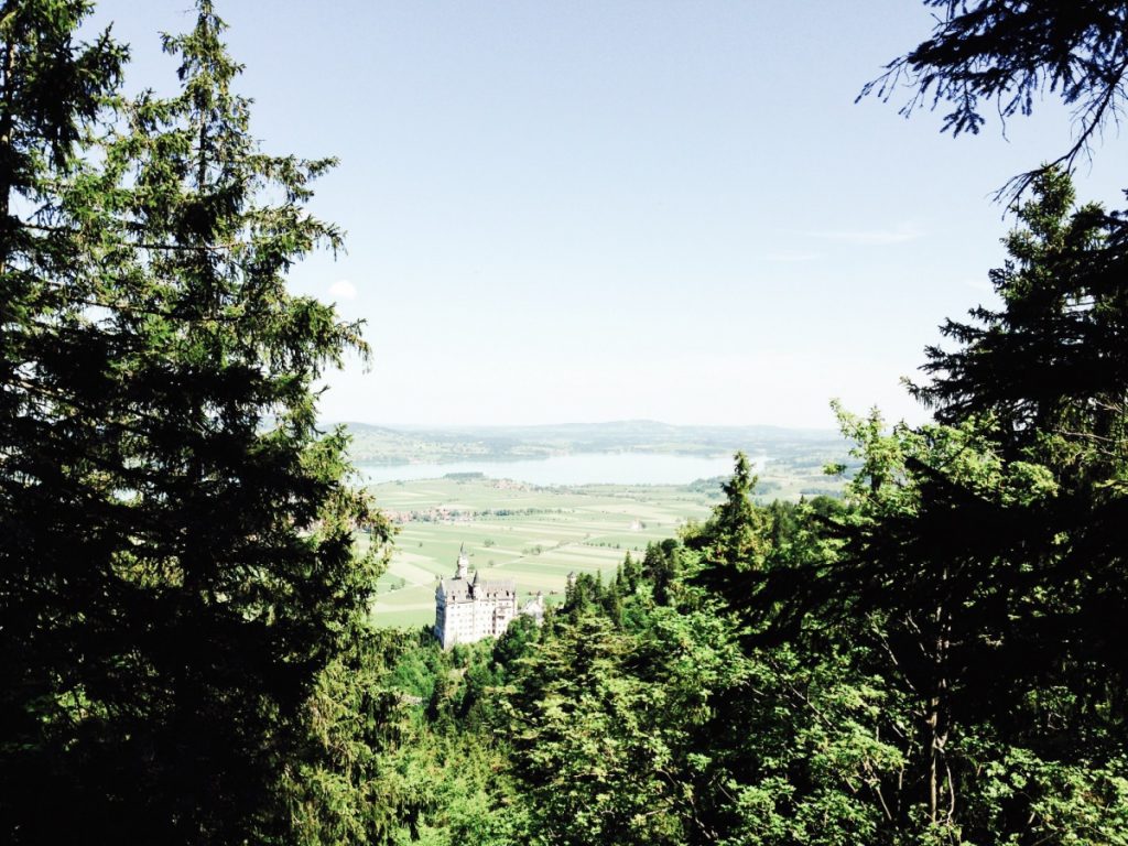 Königlicher Blick: Schloss Neuschwanstein und Forggensee