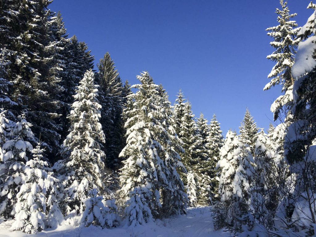 Dietramszell. Oberbayern. (2 von 6)