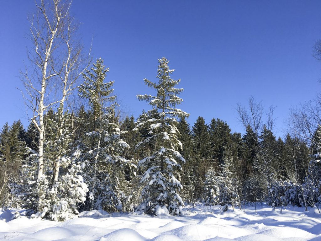 Dietramszell. Oberbayern. (6 von 6)
