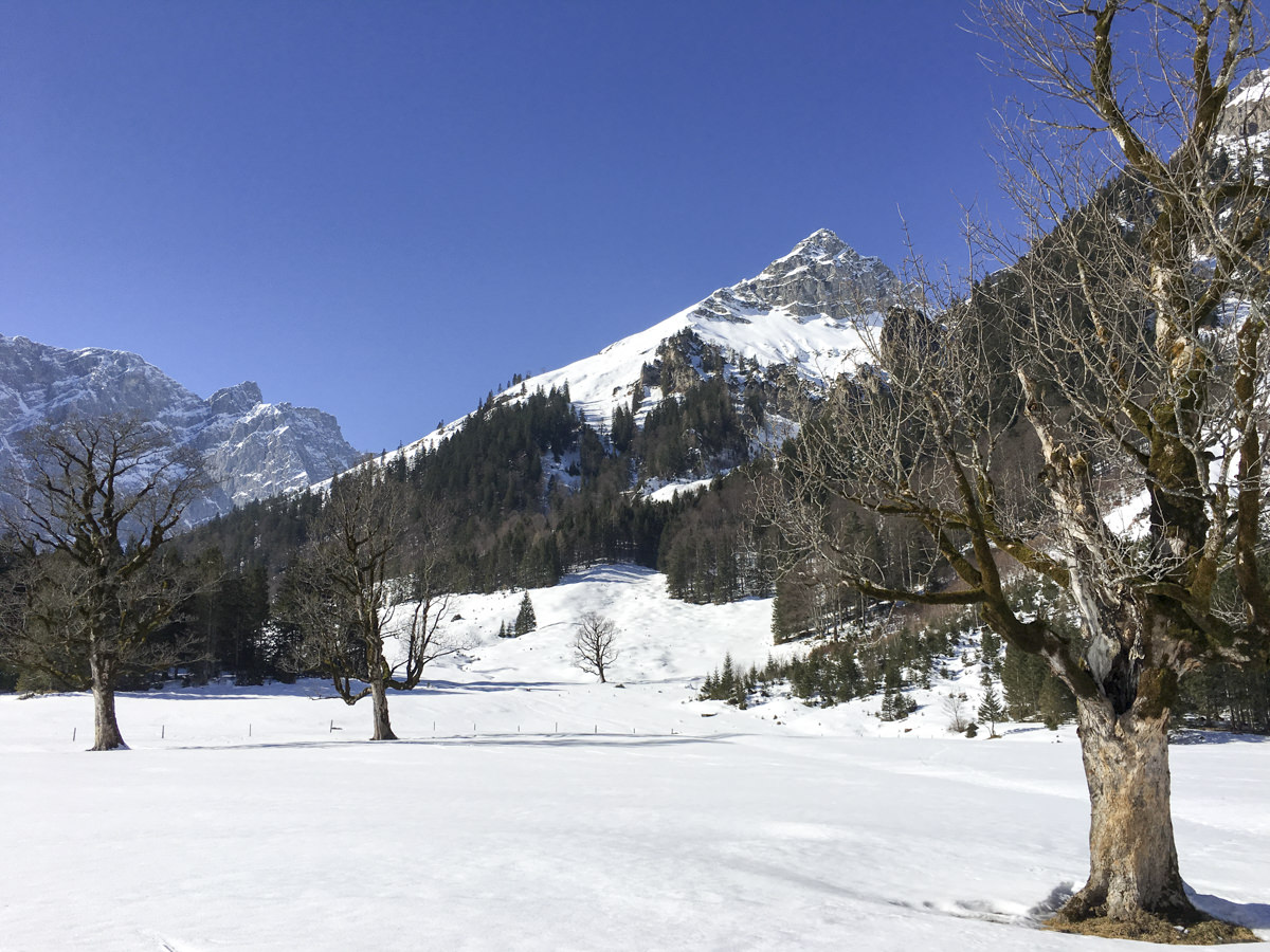 Eng. Karwendel. Tirol.  