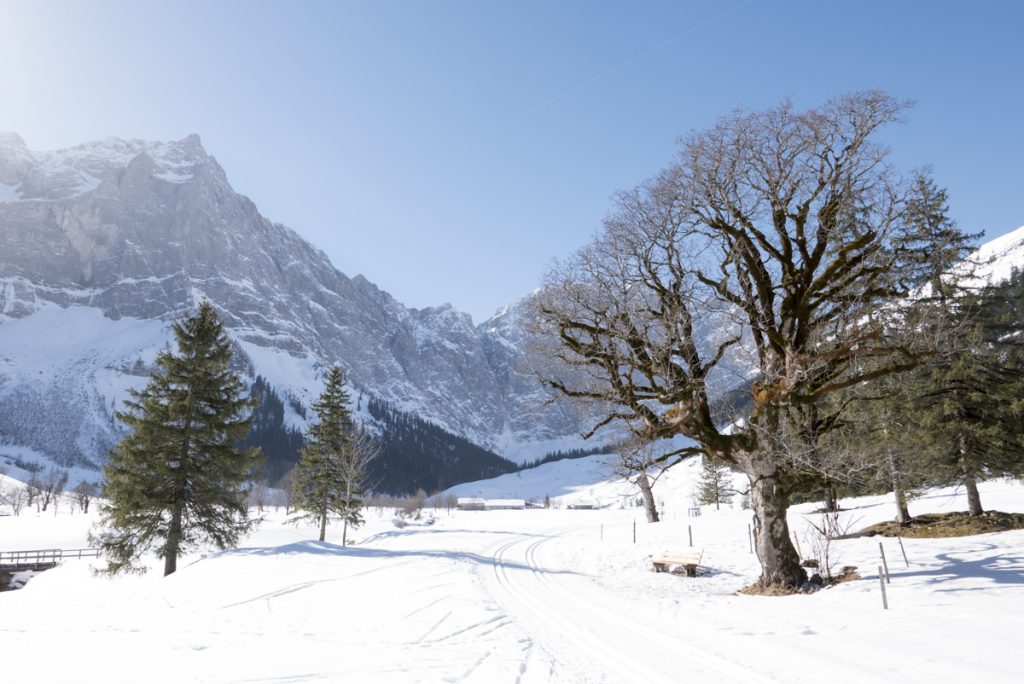 Eng. Karwendel. Tirol.  