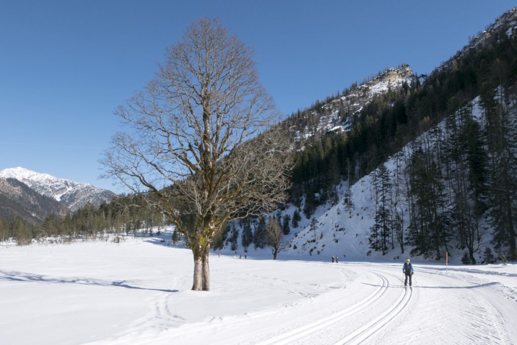 Falzthurntal. Karwendel/Tirol