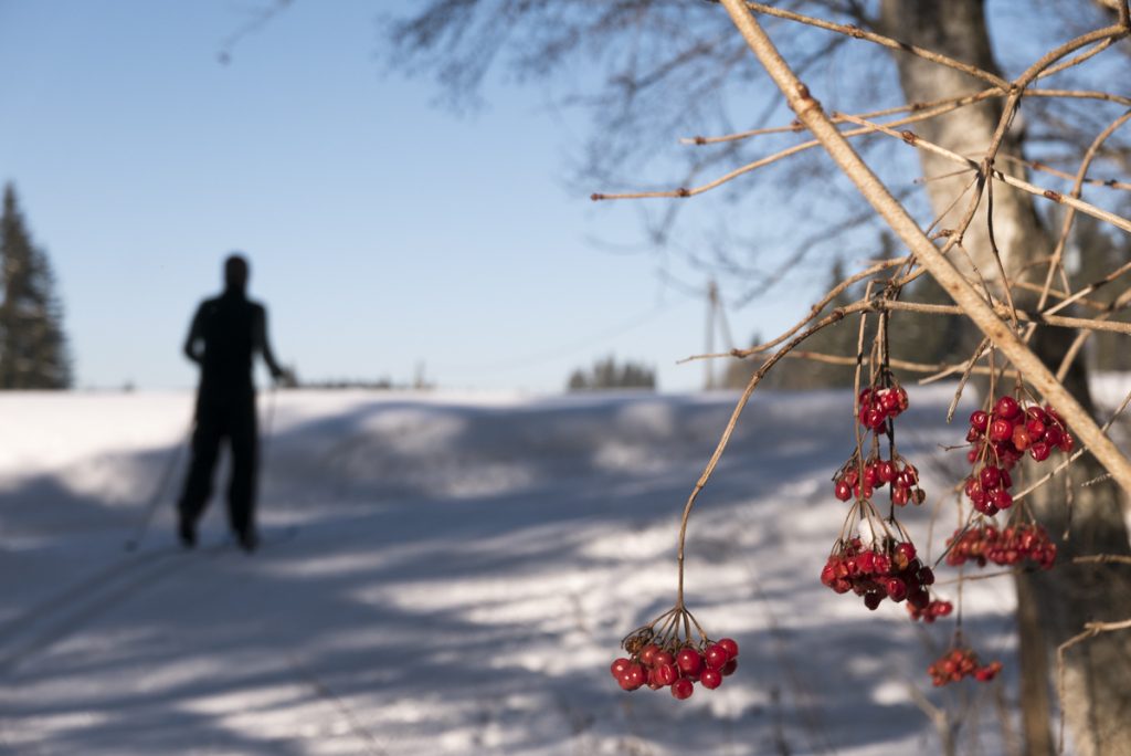 Kochelfilzrunde, Altenau, Ammergauer Alpen