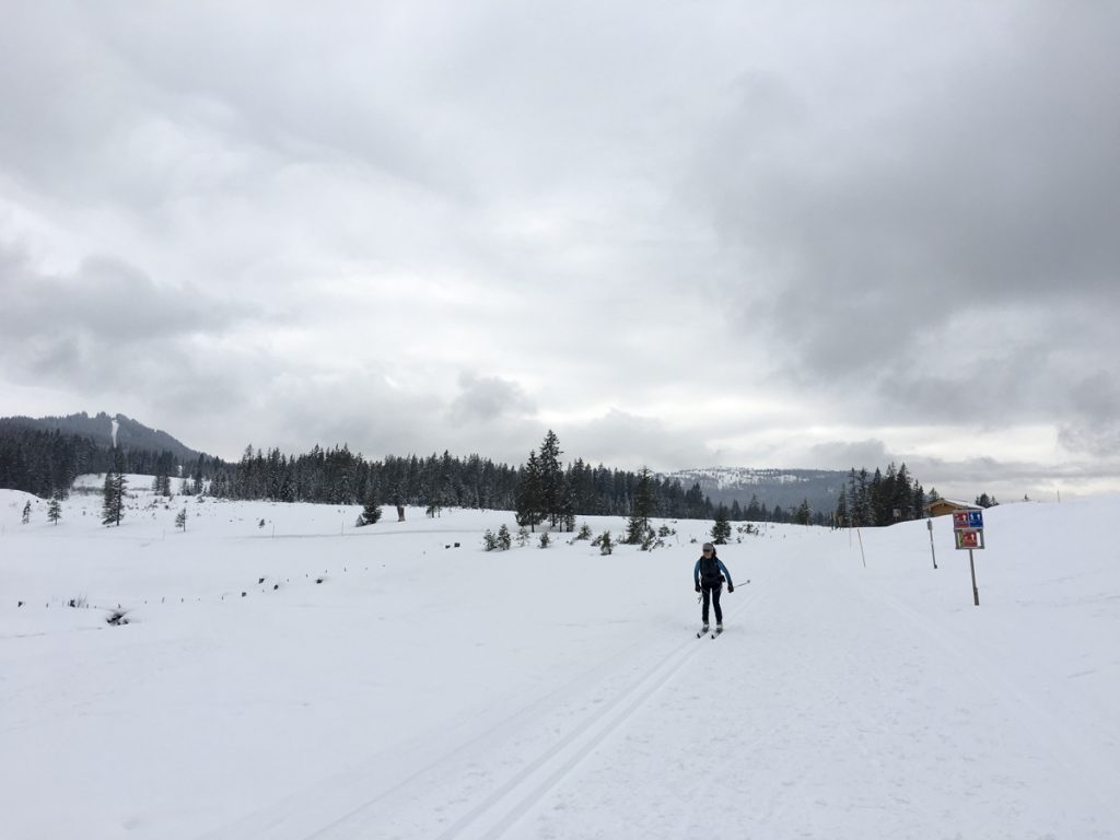 Wildalm, Winkelmoosalm, Reit im Winkel, Heutal