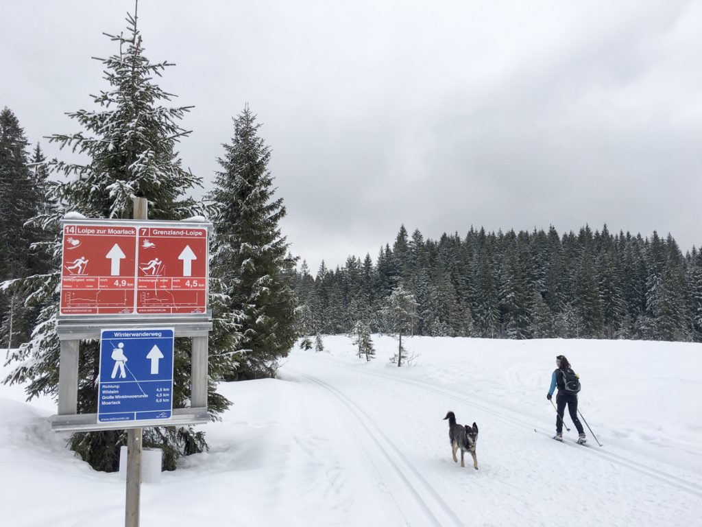 Wildalm, Winkelmoosalm, Reit im Winkel, Heutal