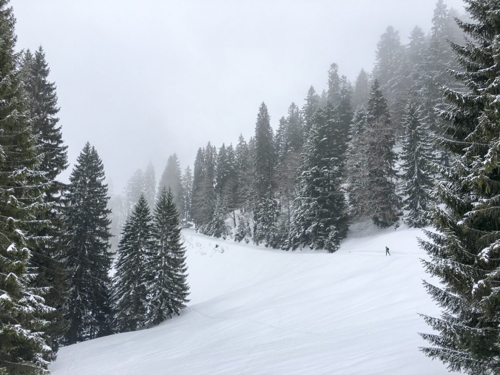 Wildalm, Winkelmoosalm, Reit im Winkel, Heutal