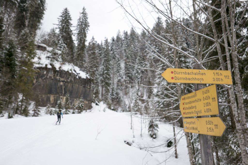 Wildalm, Winkelmoosalm, Reit im Winkel, Heutal