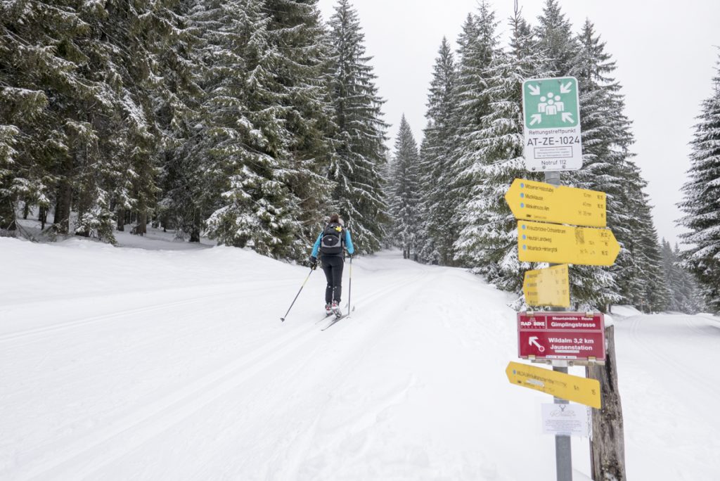 Wildalm, Winkelmoosalm, Reit im Winkel, Heutal