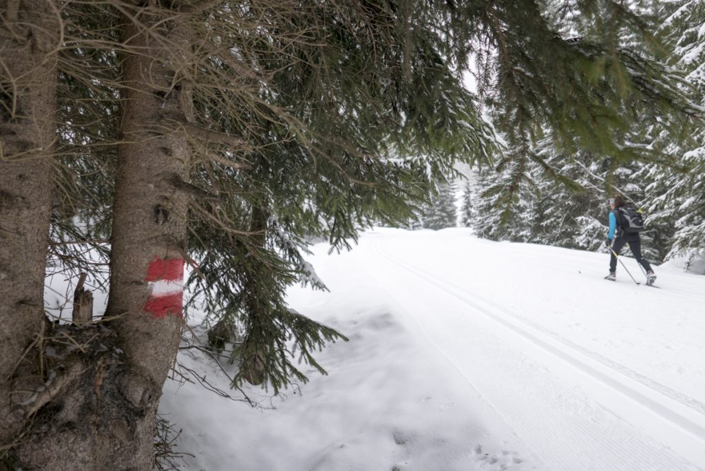 Wildalm, Winkelmoosalm, Reit im Winkel, Heutal