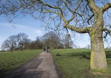 A walk in the park