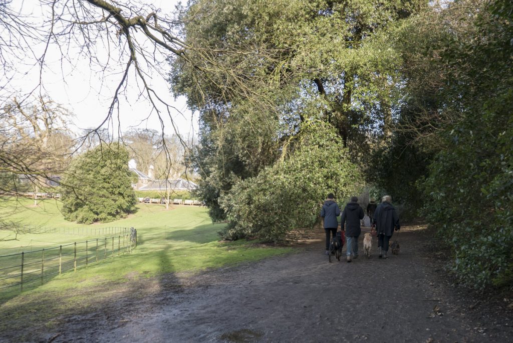 Am Kenwood House: Let's walk the dogs. 