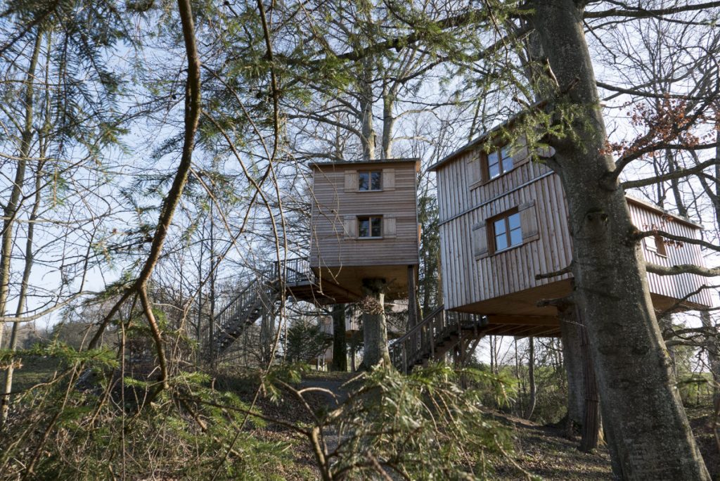 Baumhaus Betzigau, Allgäu (1)