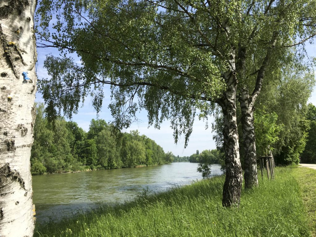 Isarradweg München - Isarmündung (3)