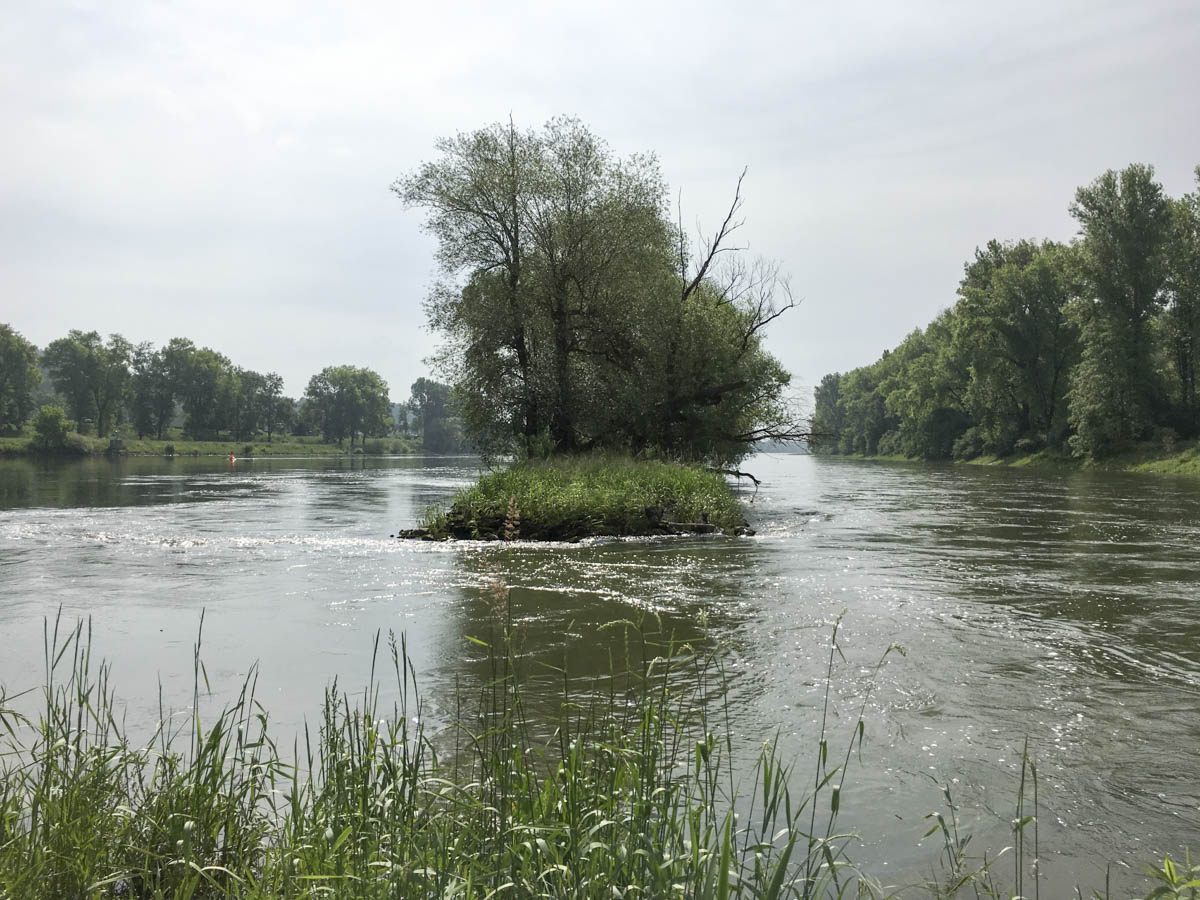 ¡Adiós Isar! - ¡Hola Donau!