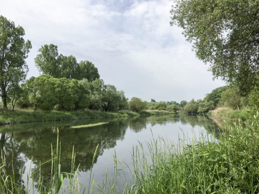 Auf der linken Seite der Isarmündung 