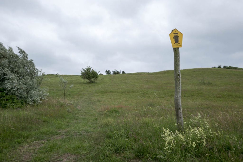 Halbinsel Mönchgut, Rügen, Ostsee, Zickersche Berge (2)